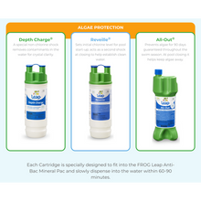 Load image into Gallery viewer, Leap Pool Wake-Up & Pool Hibernation Kit