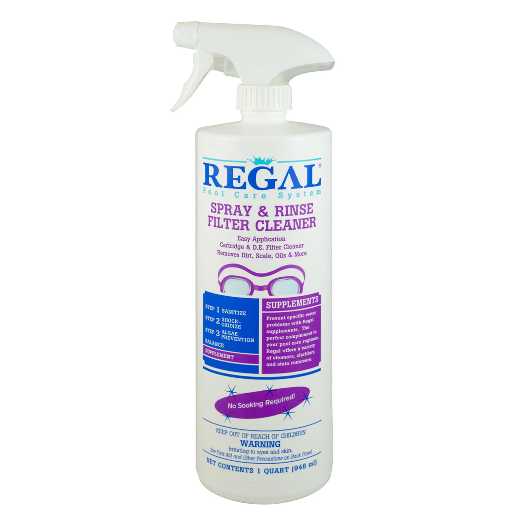 Regal Spray and Rinse Filter Cleaner