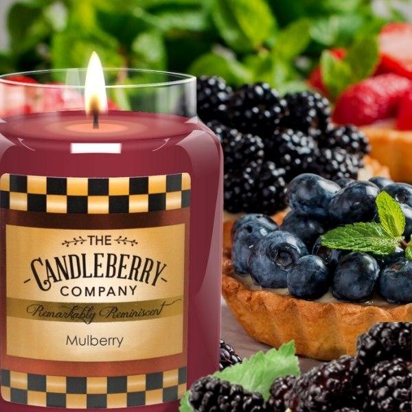 Candleberry Candle Mulberry 26oz
